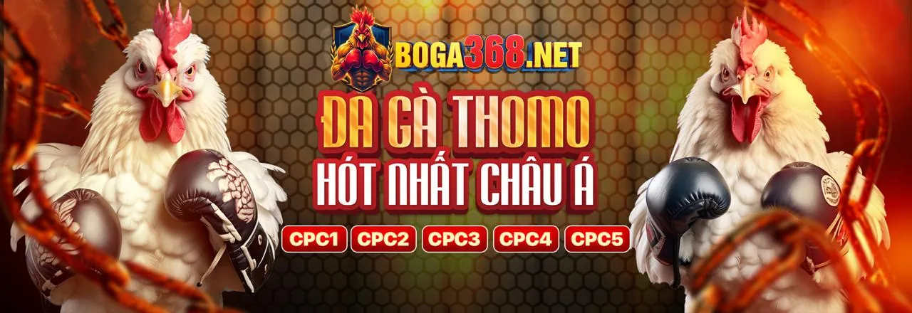 Công nghệ mã hóa dữ liệu của pk8 chính thức