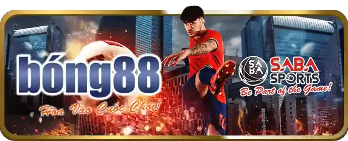 pk8 chính thức: Hướng Dẫn Cá Cược Thể Thao Hiệu Quả Nhất 2026